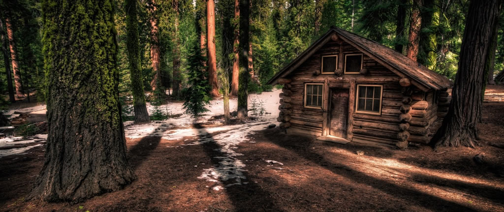 Cabin in the Woods